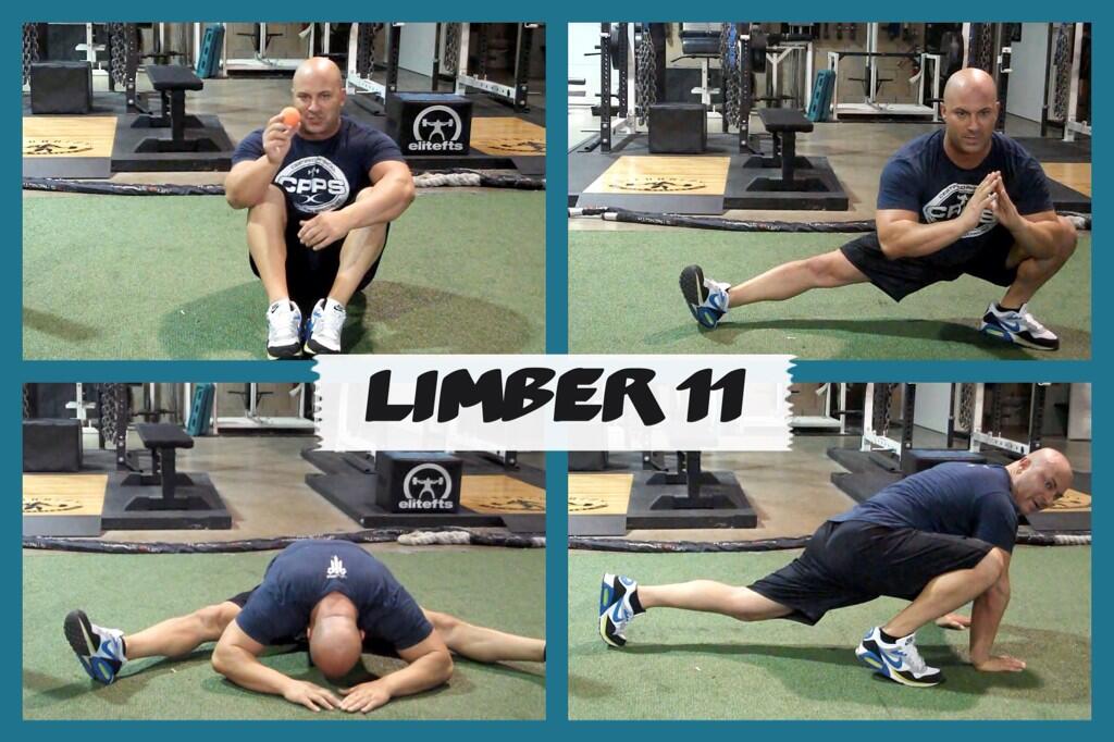 Limber11_pic