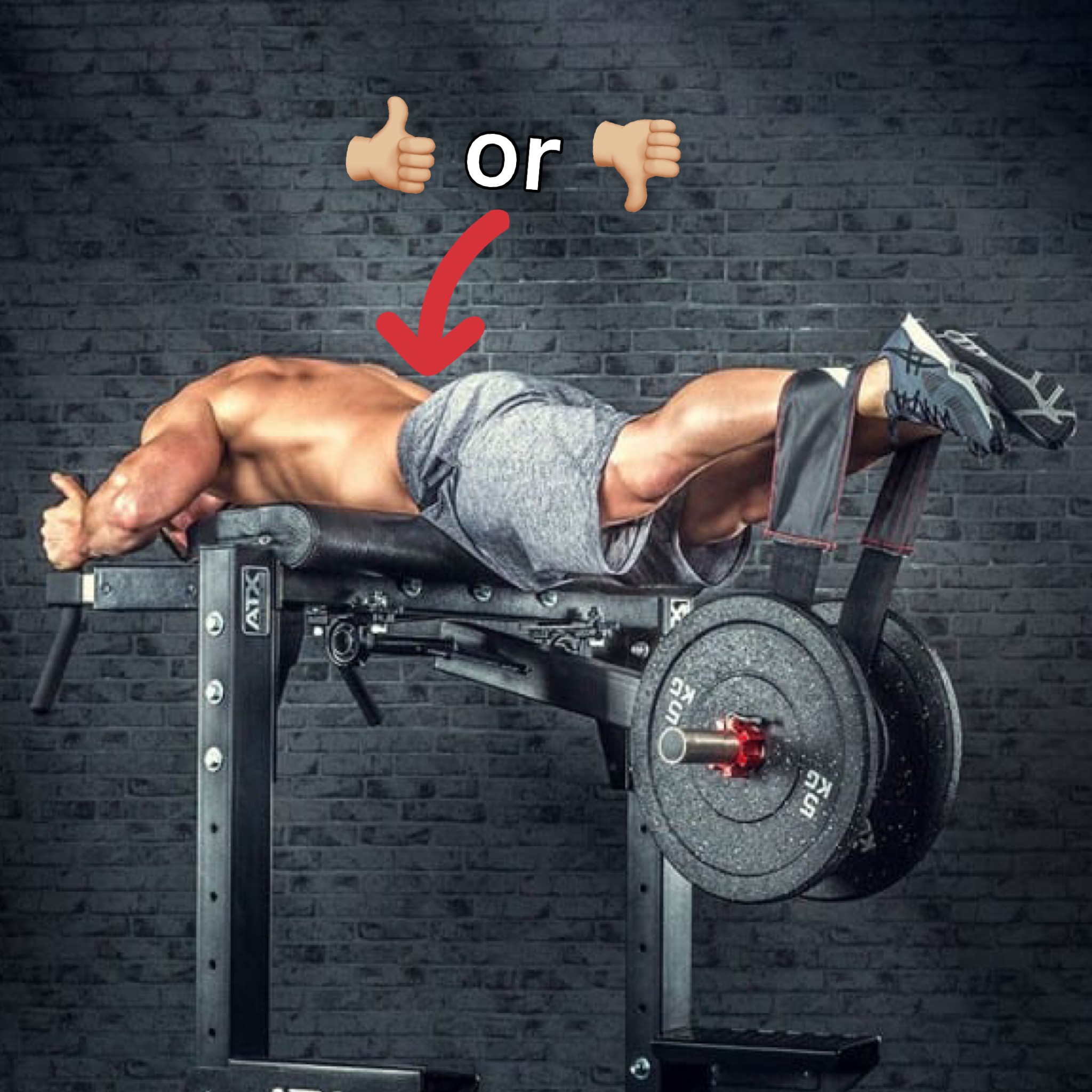 The TRUTH About Reverse Hypers and Low Back Pain, My 'Mount Rushmore ...